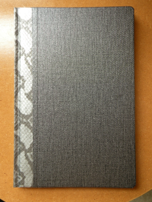 Black is classy. Silver is classy. Black and silver metallic snakeskin, say, pants, on the other hand, would be questionable. So where does this notebook fall on that spectrum